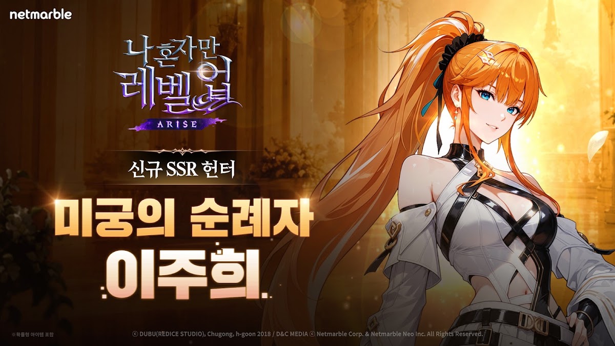 나 혼자만 레벨업: 어라이즈 게임 화면